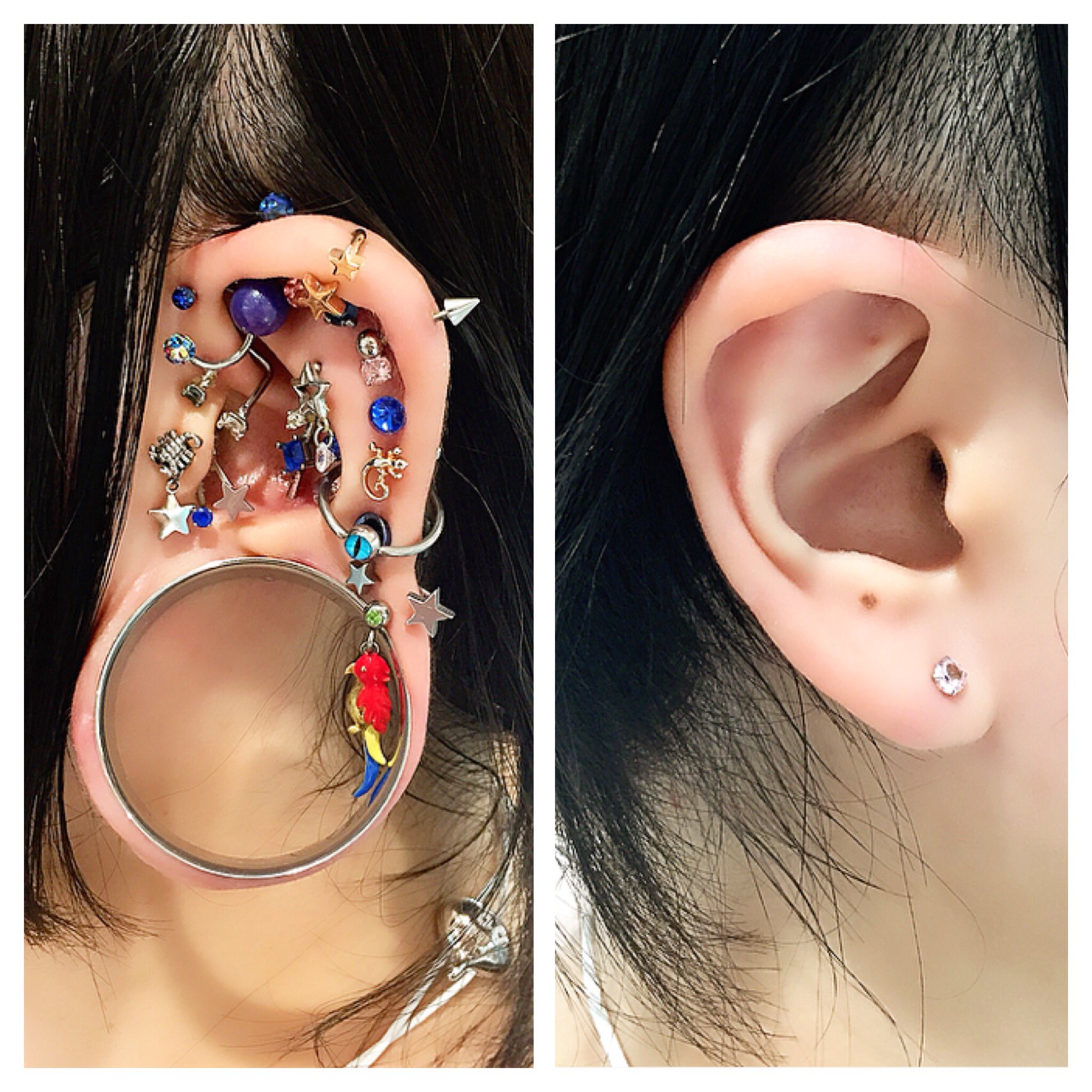 Roque 名古屋店 名古屋オリジナル インコ バーベルは ロブにこの付け方が ナンバーワン ボディピアス 拡張 伝説の耳 かっこいい インコ 可愛い T Co 8p6ri7h1 Twitter