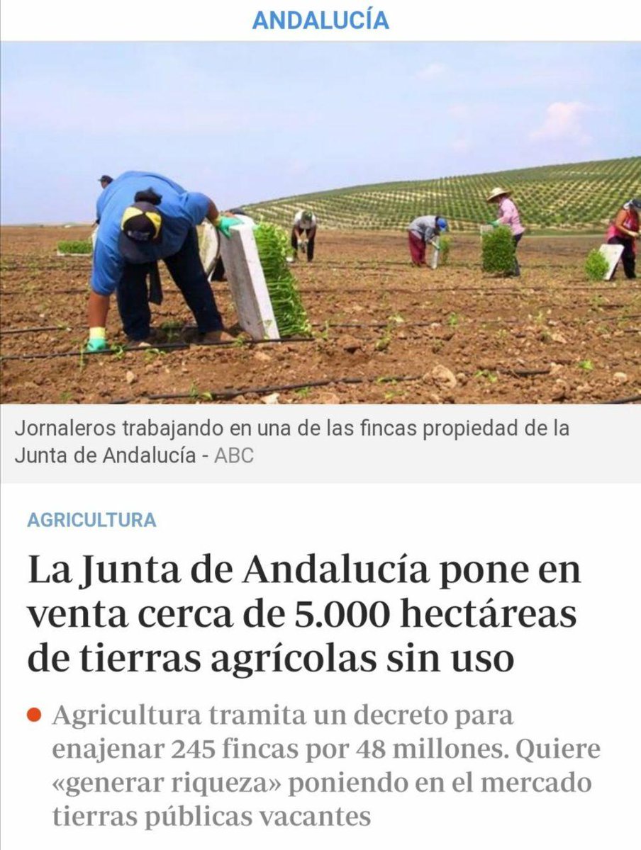 TeresaRodr_'s tweet photo. En lugar de poner las tierras públicas a disposición de personas desempleadas y ayuntamientos para ponerlas a producir, la Junta las privatiza para los acaparadores de tierras que vengan a especular. Es indecente. https://t.co/vfvRF3bHE0