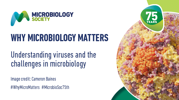 Introducing our brand new digital hub, dedicated to understanding the world of viruses and the challenges in microbiology. Explore our resources, interviews with members and much more today. microb.io/38tvQOq #MicrobioSoc75th #WhyMicroMatters