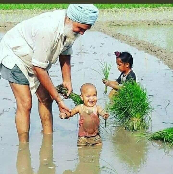 boxervijender's tweet photo. नंगे पैर बरसात मे, जब वो किचड़ मे जाता है
महकता हुआ बासमती तब तुम्हारे घर आता है
किसान का हक है
#कर्जा_मुक्ति_पूरा_दाम https://t.co/q8A9C5iWZA