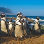 Photo by Sure Travel (@SureTravel)