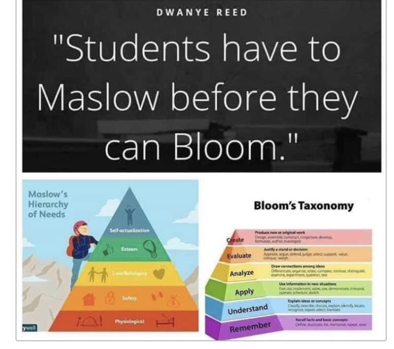 gratefuledu64's tweet photo. Wouldn’t you agree? 🥰
@IleneWinokur @santiagoAM115 @HansNAppel @ABEducational @ihadztotweet @GiftedTawk @OrganicLeaderVB @AdamHillEDU @laurabeess @Thirsty_Bees @Kbahri5 @Toriaclaire @TraciBrowder @miss_bishop4 @LeanoraBenton3 @bbray27 @saldanact @Jennifer_Hogan @bethhill2829 https://t.co/74ymCx9Db7