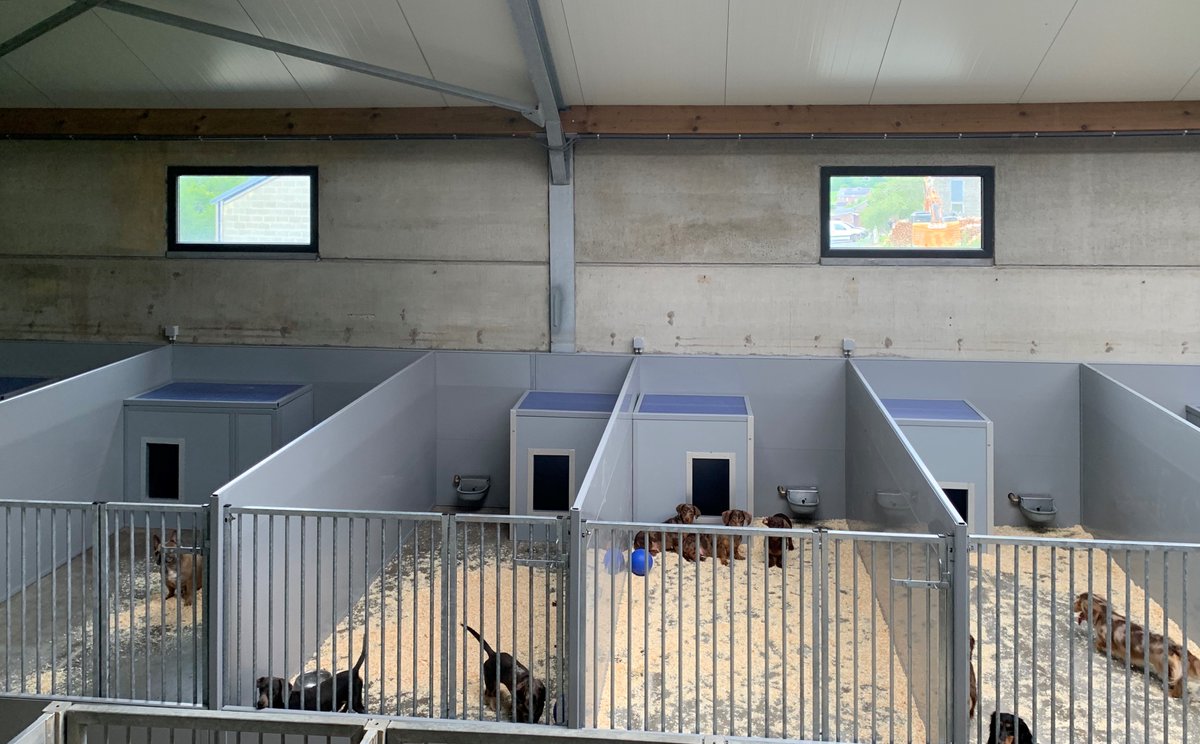 Bouwimpex's tweet photo. Bouwplast kunststof panelen en profielen zijn meer dan 25 jaar op de markt. Naast de agrarische sector wordt het Bouwplast wandensysteem steeds breder toegepast, onder meer ook bij hondenpensions en hondenresorts. Bekijk het resultaat op onze site: https://t.co/so5eFuaTQW https://t.co/k8a7ukKCG2