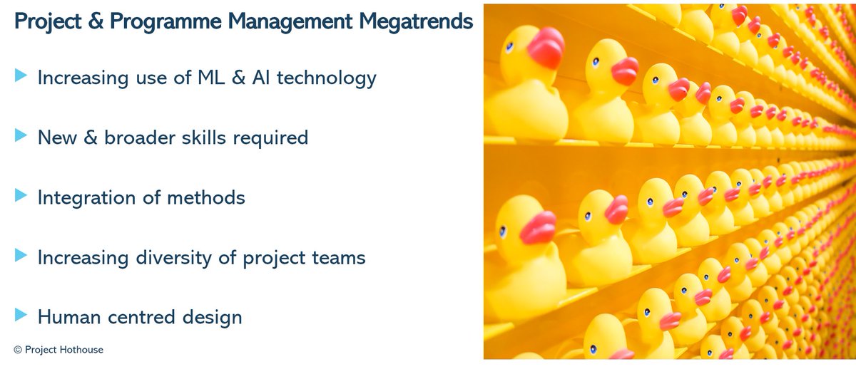 projecthothouse's tweet photo. Have you got your ducks in a row? The project &amp; programme megatrends are already here...

#pmo #ppm #project #projectmanager #apm #projectmanagement https://t.co/pjC8bRXsLL