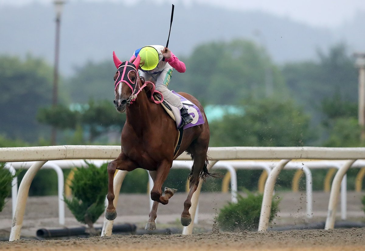 岩手競馬 Iwatekeiba On Twitter ビューチフルドリーマーカップ トライアルのオープン牝馬の準重賞 フェアリーカップ は５番人気のボルドープラージュが２着に２馬身差を付ける快勝 ２歳時以来の重賞２勝目を挙げました 競走成績https T Co Jsclwiggt3
