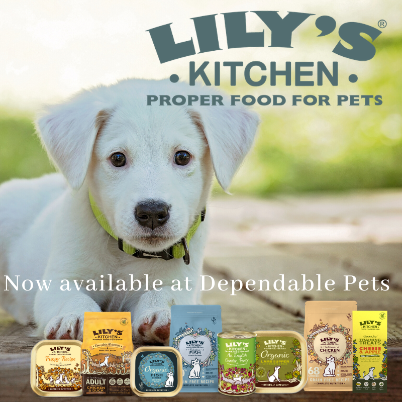 DependablePets's tweet photo. Dependable Pets Love 💚 Lily's Kitchen

#lilyskitchen
#nowavailable
#dependablepets
#dogs 🐶

https://t.co/T8SBEfl3qQ https://t.co/rIO4sQQWkO