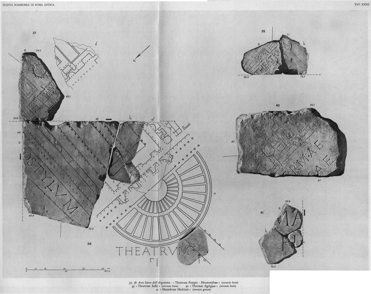 Let's go to  #Rome and to its first permanent theatre: the Theatre of Pompey. Dominated by the temple of Venus, its Curia is sadly famous as the place where  #JuliusCaesar was murdered. The ruins of the theatre are now preserved... in a restaurant!  #MuseumsUnlocked 12/16