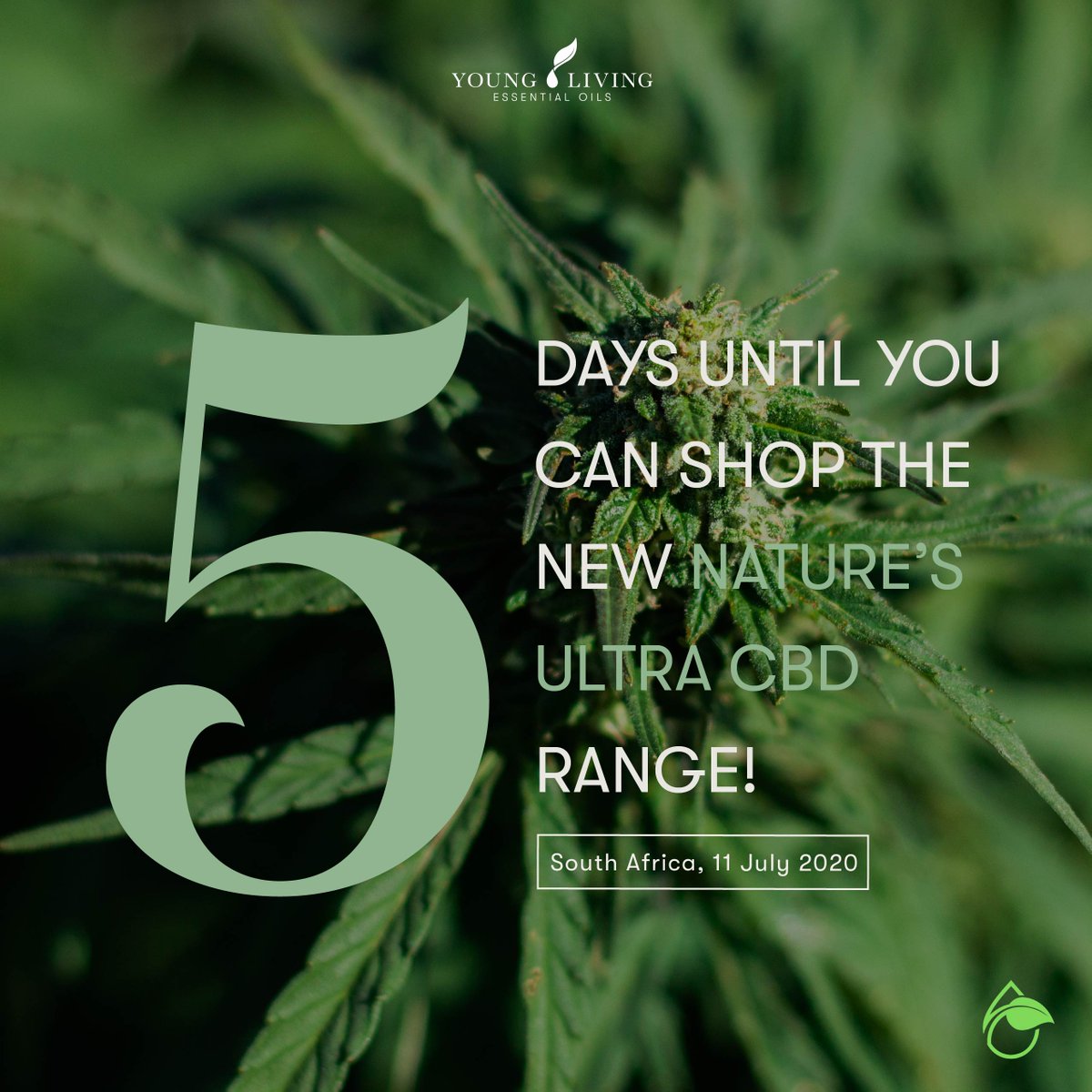 YoungLivingAF's tweet photo. We have just 5 days left until YOU can shop for the new Nature's Ultra range! 🍃✨
#CBDLaunch #NaturesUltra #YoungLivingEssentialOil https://t.co/qGt6rQAvJJ