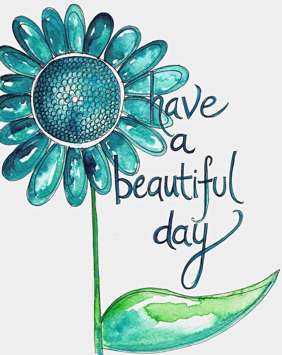 DSA_WC's tweet photo. Hope you are having a beautiful Monday :) https://t.co/oh1uz1aXPl