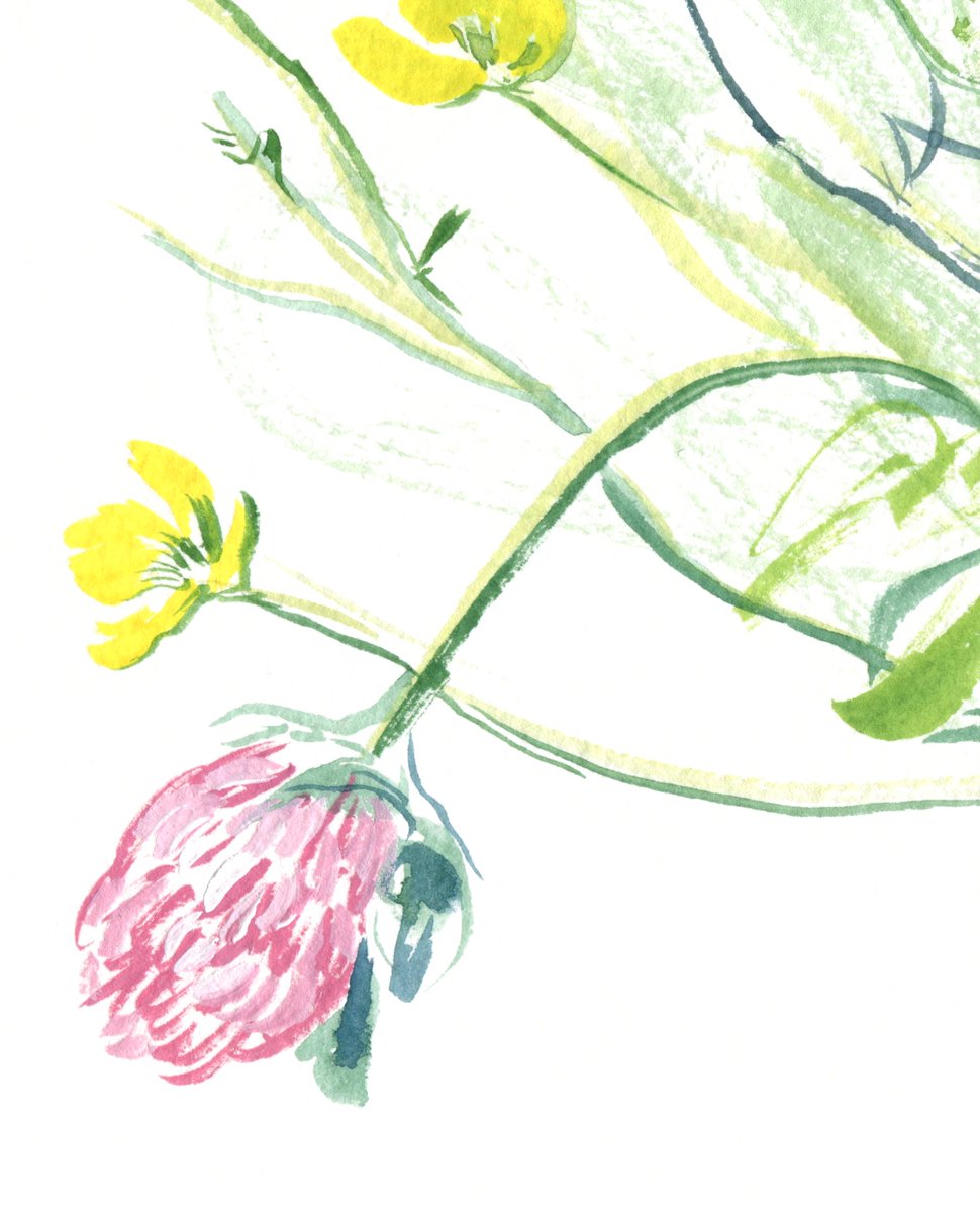 ArtWindd's tweet photo. FIELD FLOWERS Watercolor bouquet by Daria Galinski. #art #watercolor #field_flowers #floral #illustration #yellow #clover #wildflowers #summer #bouquet #painting

https://t.co/5tZPRfNNp9 https://t.co/qx1NF934EF
