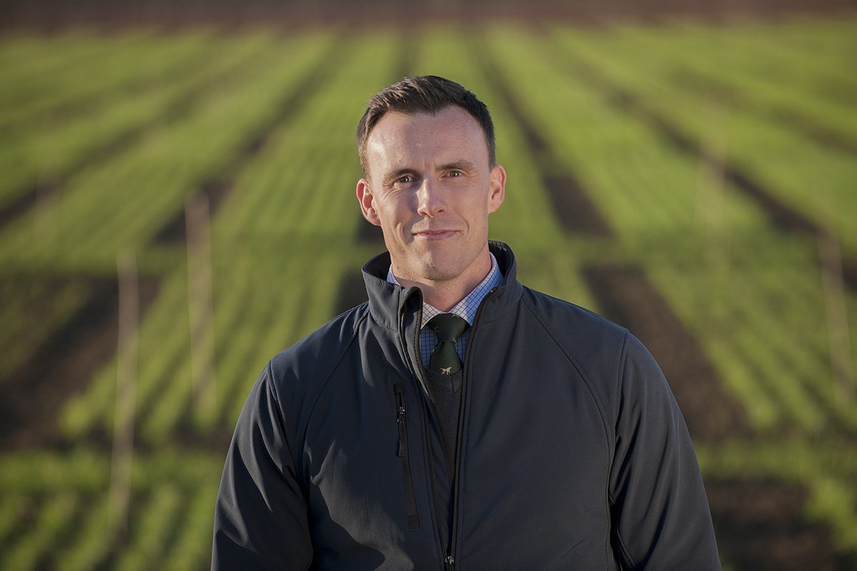 AgriTradeNews's tweet photo. The Wynnstay Group has strengthened its seed division by appointing Toby Reich to the newly created role of head of seed at its Wynnstay Agricultural Supplies business. @WynnstayGroup @KisanHub https://t.co/Nnu7Vulo8L https://t.co/FC8mTzzpcP