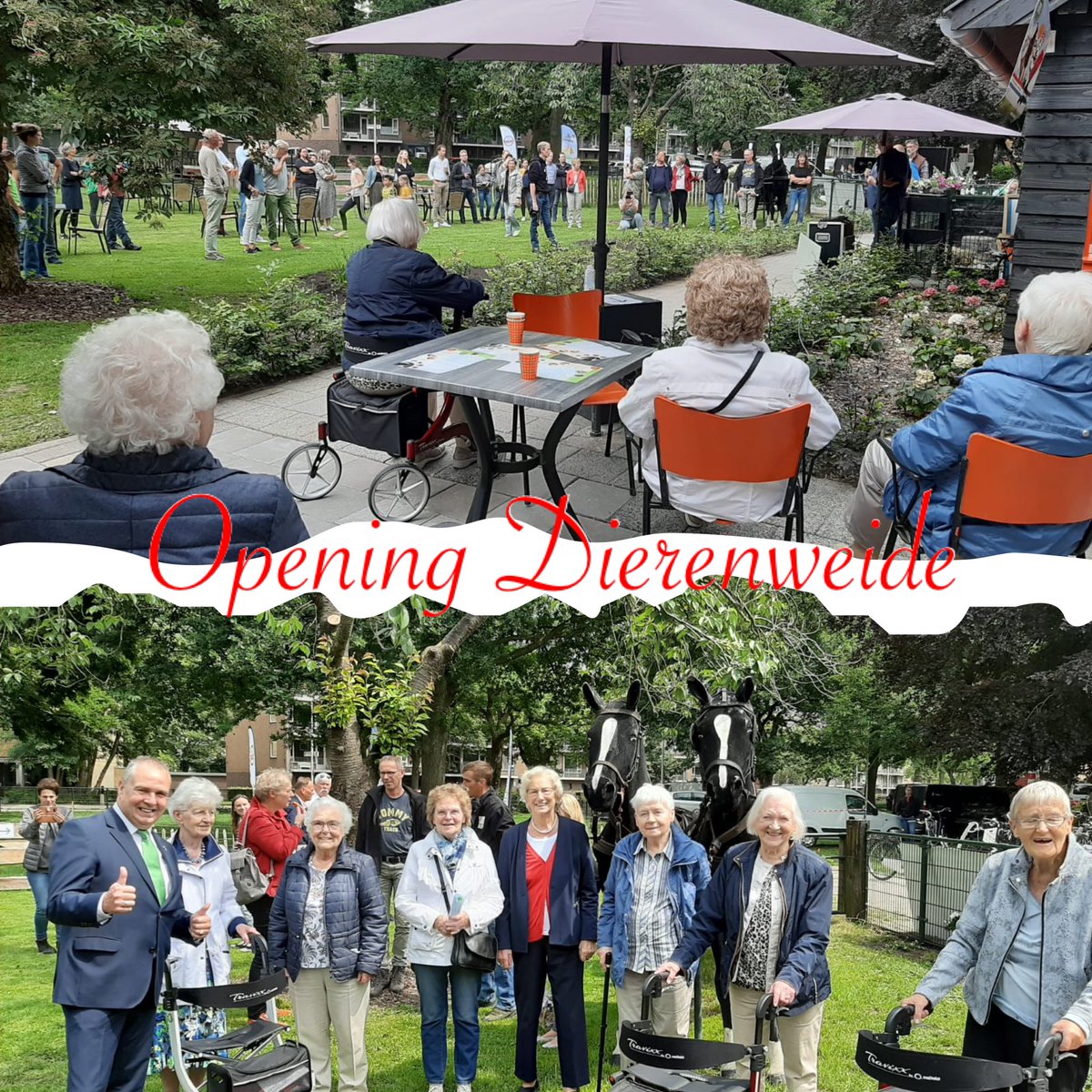 Afgelopen vrijdag de opening van de Dierenweide te Dieze. Ouderen waren hier speciaal voor uitgenodigd en daar gingen we in een karavaan op “excursie”😉. Wat was het fijn de wethouder @WilliamDogger1 te treffen! Hij mocht met alle dames op de foto 😄.