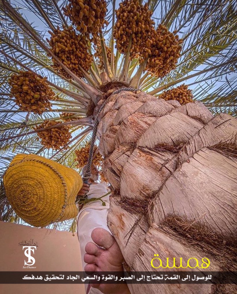 To reach the summit you need patience, strength and earnest pursuit of your goal