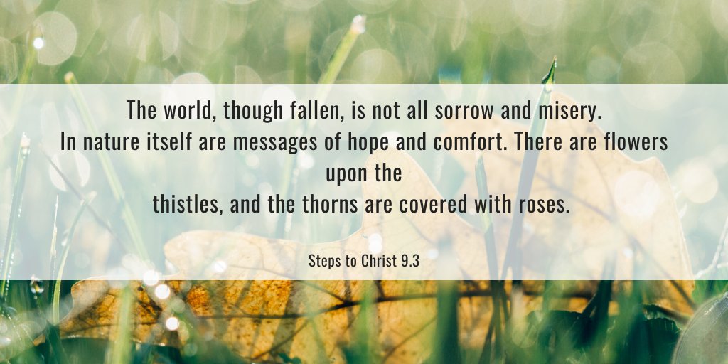 Lord, we can’t imagine how hard it must have been after the fall of Adam and Eve to see the weeds, thistles, and briers in the beautiful earth you created. As we weed our gardens, may we reflect on the consequences of sin.