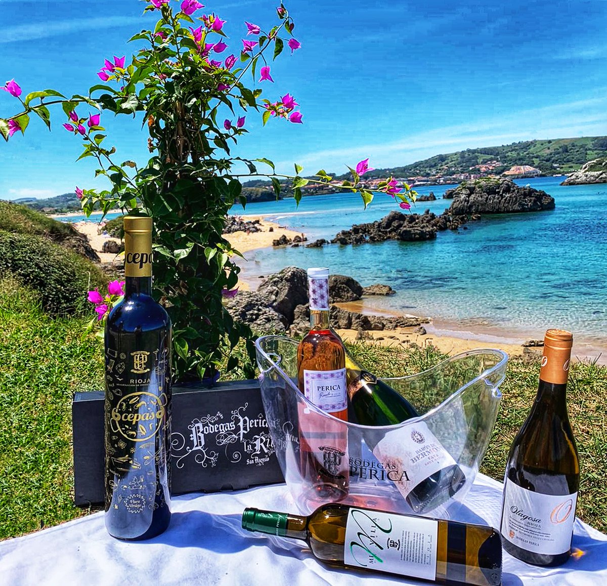 Quieres esta cubitera?? Entra en nuestra tienda online y llévate una! 
#bodegasperica #compraonline #cubiteragratis #vinofresco #vinoparaverano #rosadoperica #rosado6cepas6 #blancoOlagosa #blancoc6cepas6 #cavabarondebermont