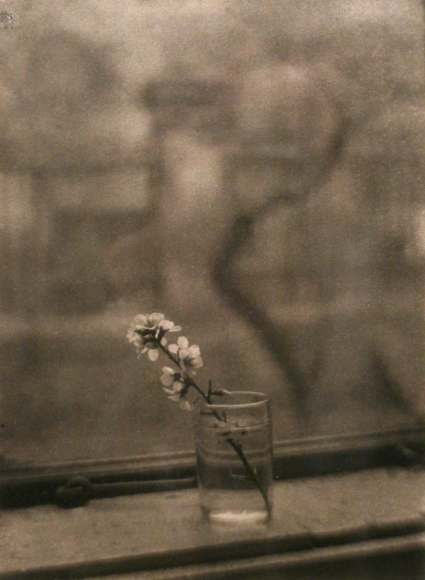 AestheticaMag's tweet photo. The online photography exhibition from @BSG_NYC is designed to transport viewers to a "moment or reverie" – featuring ethereal portraits, landscapes and still lifes from the early 20th century to today. https://t.co/nieNVacrU1 https://t.co/VXMk5pJI8U