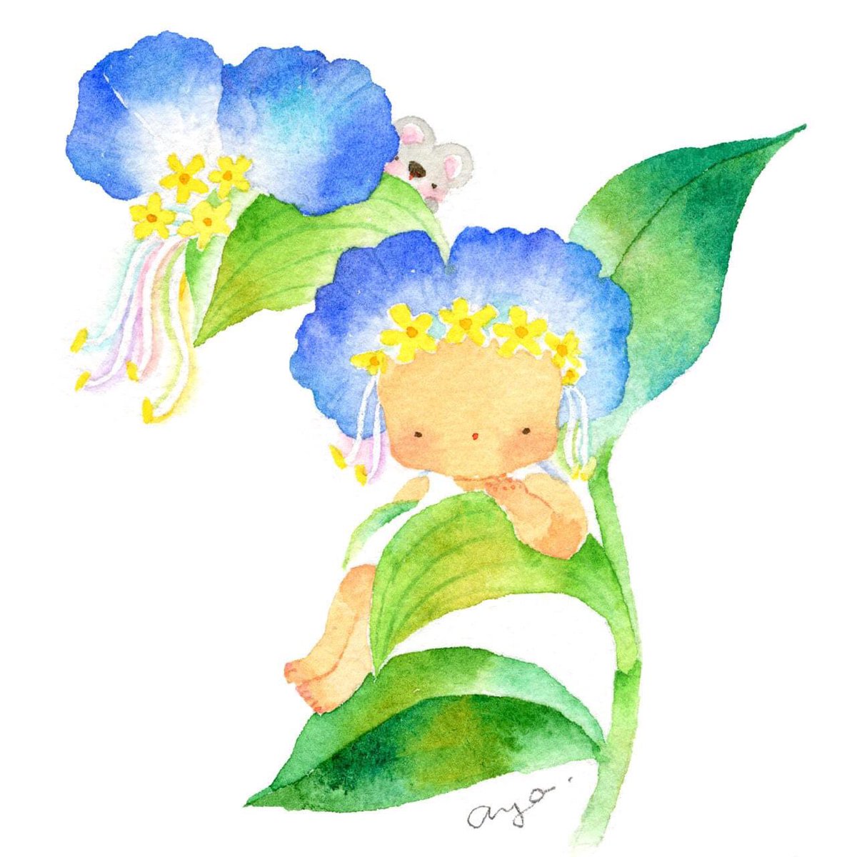 こばやしあや 今日の誕生花 7月6日 ツユクサ Dayflower 花言葉は なつかしい関係 絵 水彩画 イラスト Drawing Illustration Watercolor スケッチ 花言葉 誕生花 今日の花 Happybirthday おめでとう 7月6日 Dayflower