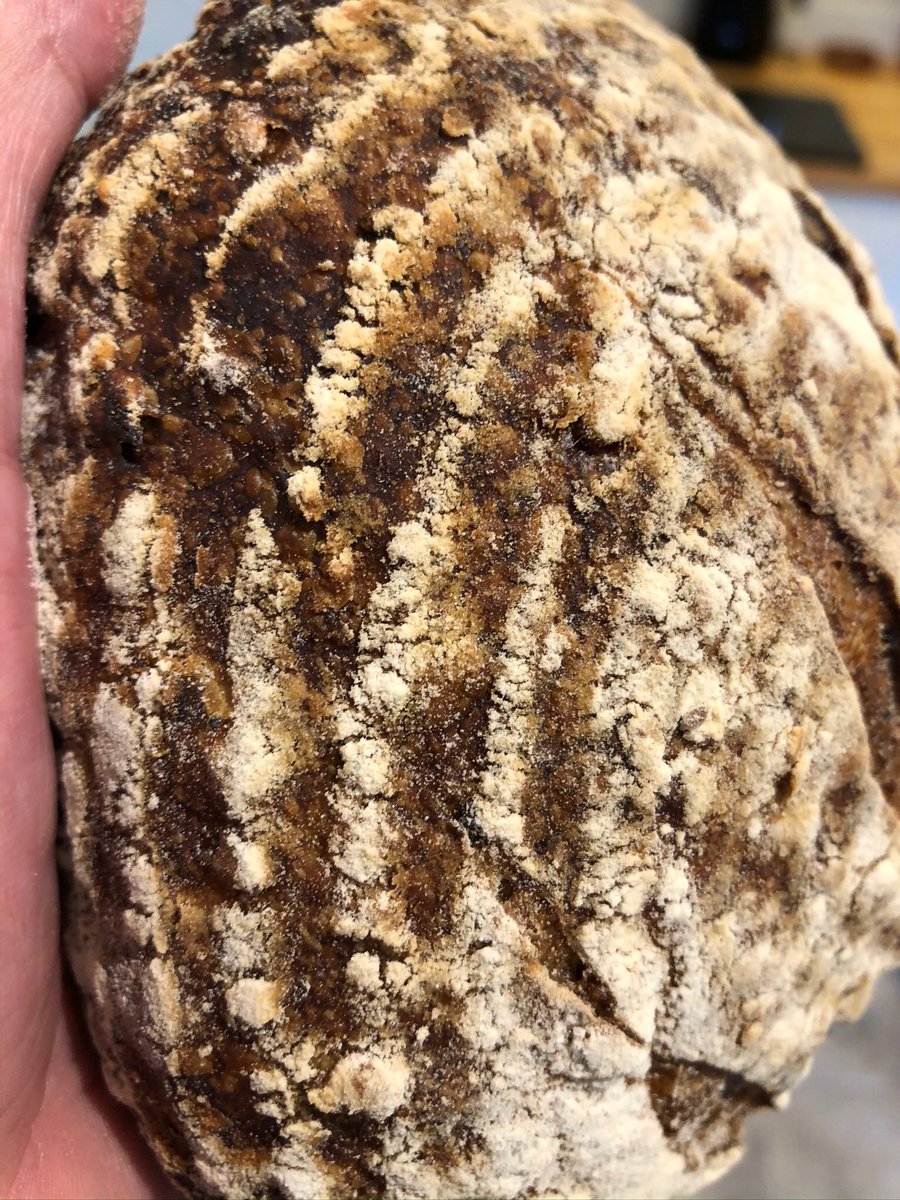 ChefsPass's tweet photo. Wholemeal, grain and rye sourdough In Casa Martinez this morning #sourdough #wholemeal #rye #sourdough #sourdoughstarter #sourdoughbread #sourdougbread #fermentada #levain #levainbread #lievito https://t.co/onU2xhfOiV