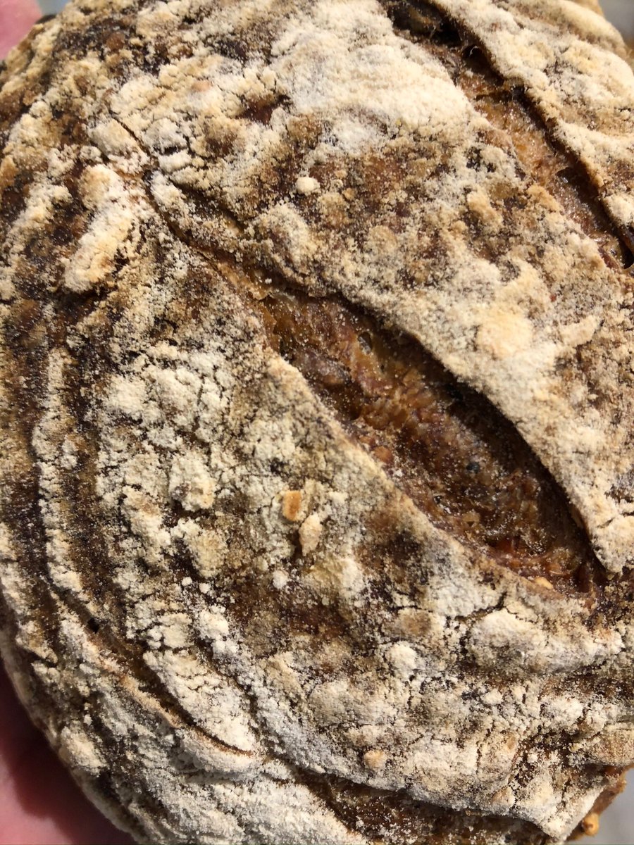 ChefsPass's tweet photo. Wholemeal, grain and rye sourdough In Casa Martinez this morning #sourdough #wholemeal #rye #sourdough #sourdoughstarter #sourdoughbread #sourdougbread #fermentada #levain #levainbread #lievito https://t.co/onU2xhfOiV