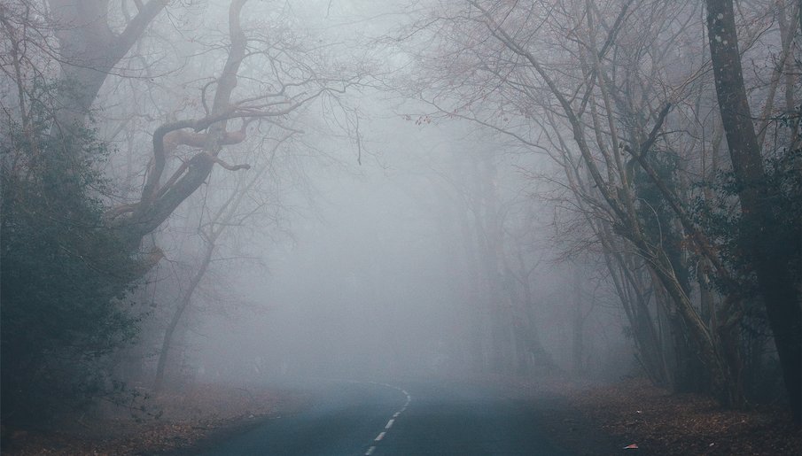 TheHawthorneArc's tweet photo. #FéthFíada is magical mist from #CelticMythology that renders those who walk in it invisible to human eyes. Féth Fíada is said to be used by Celtic holy people called #Druids and a supernatural Irish race: the #TuathaDéDanann.
#TheHawthorneArchives #DailyLore #mythologymonday https://t.co/vrTIzjojon