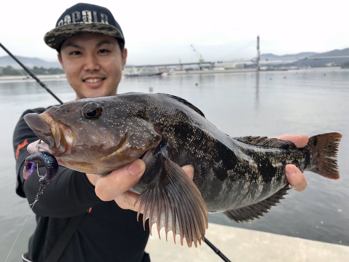 アナハゼティ Anahazeti 激濁りの中釣れてくれた おネウネウ 雨降って来たので一旦焼きに来ました アナハゼティ エコギア グラスミノー 魅惑のパープルカモ マトン牧場 気仙沼 釣り アイナメ