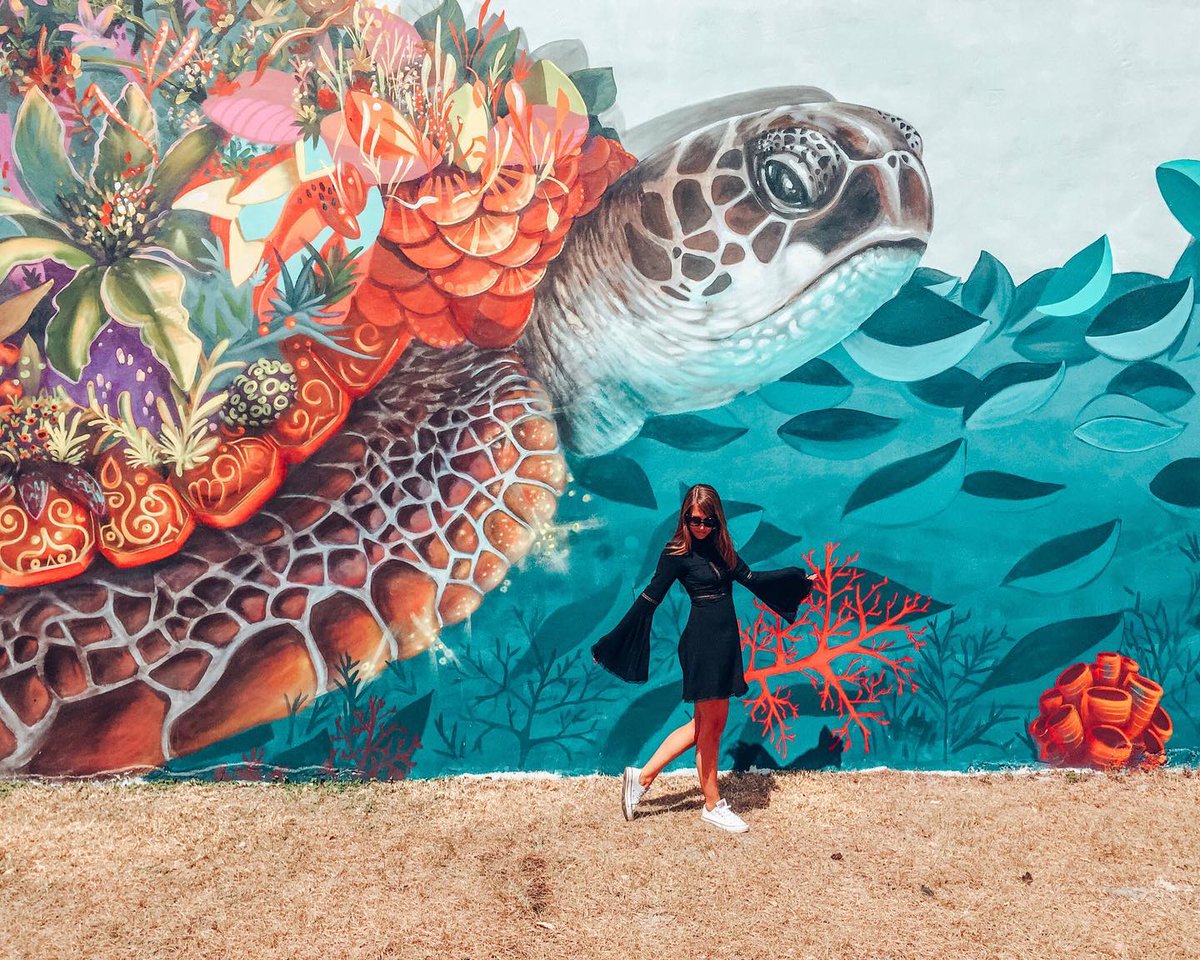 visitlauderdale's tweet photo. Open-air adventure idea: explore the vibrant murals in #FloridasHollywood. @HollywoodFLCRA #DHMP #VisitLauderdale

(📸: girlin3a on IG) https://t.co/jIrn9uQHia