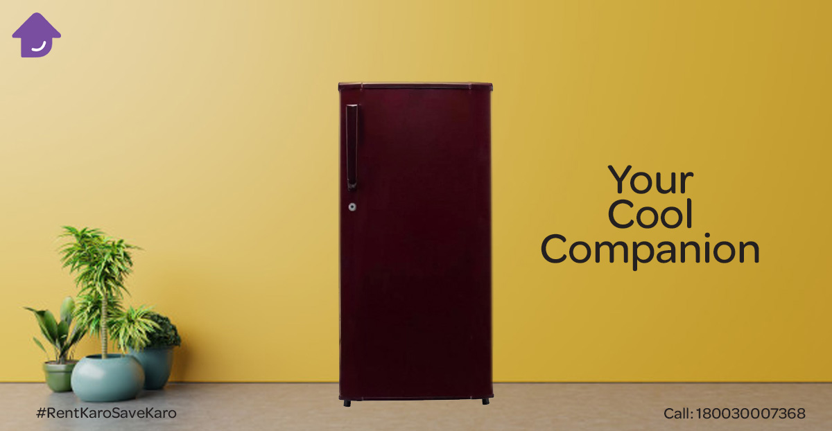 SabRentKaro's tweet photo. Stay and live cool with fresh food &amp; cool drinks. Rent Fridges @SabRentKaro. Click https://t.co/yDlvqfSw5A. Call 180030007368 #refrigerator #workingfromhome #renting #Rent #savings #Hyderabad #rentkarosavekaro #sabrentkaro #mondaythoughts https://t.co/26JPol9RlN