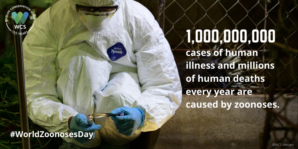 Today is #WorldZoonosesDay.

Zoonotic diseases result from pathogens jumping between animals and humans. Think rabies, lyme disease, West Nile virus, HIV, Ebola, #COVID19. 

As #COVID19 ravages our communities, we all understand the impact they can have. #EndTheTrade (1/9)