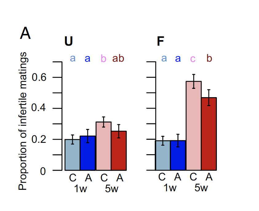 Finally, we looked at if a lifespan-extending genetic manipulation could postpone reproductive ageing. To our delight, we found that these long-lived males were more fertile in older age, suggesting that such interventions can delay both male reproductive ageing &amp; death. 11/14