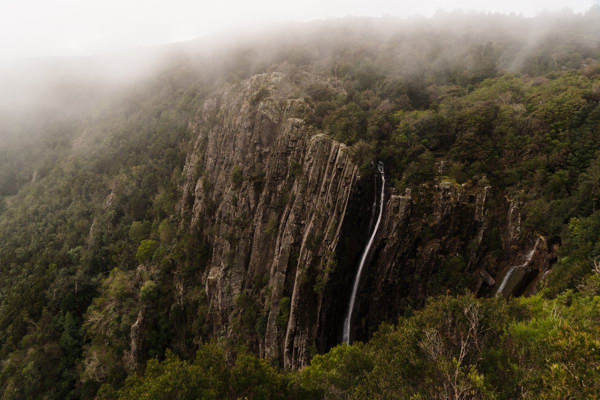 nicholasbetts8's tweet photo. Nature at its finest #NaturePhotography #photographer #water #Australia https://t.co/k6roSIj0rv
