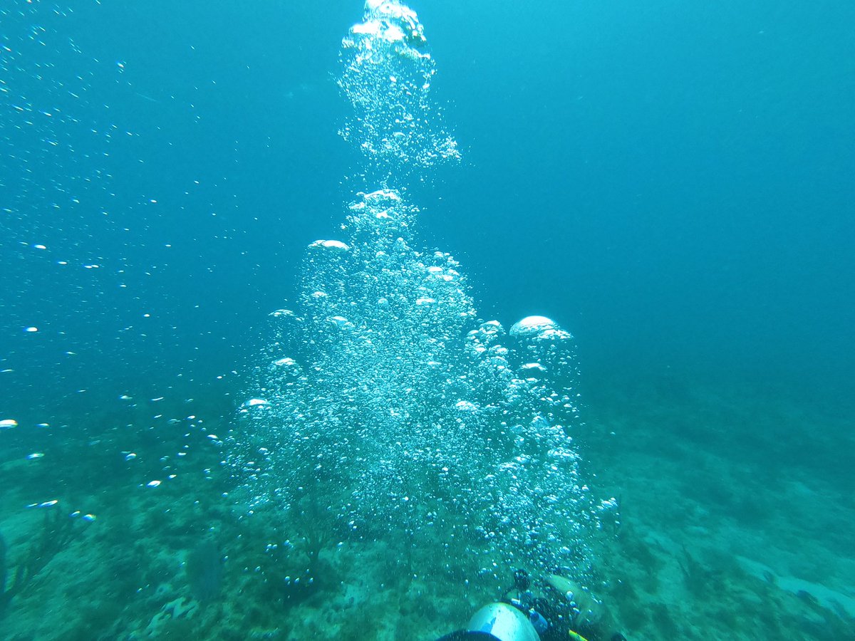 SunshineGlass7's tweet photo. Scuba diving is something I love here is a photo!! https://t.co/9nvbkp1GsM