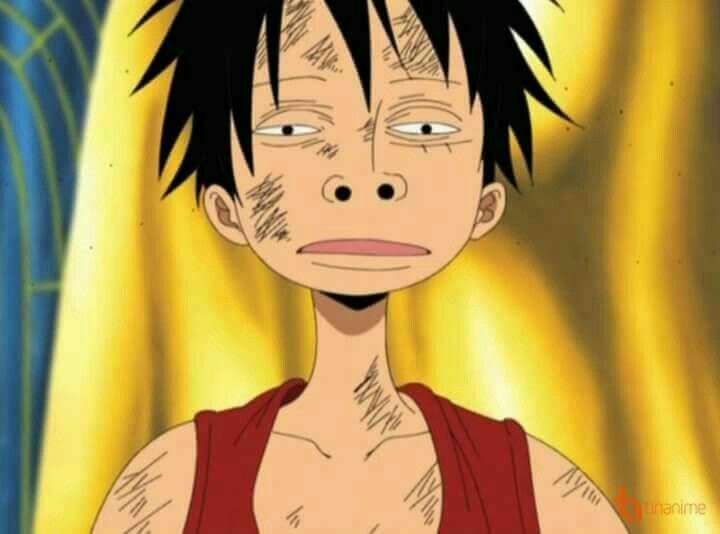 luffy rebaixado calvo