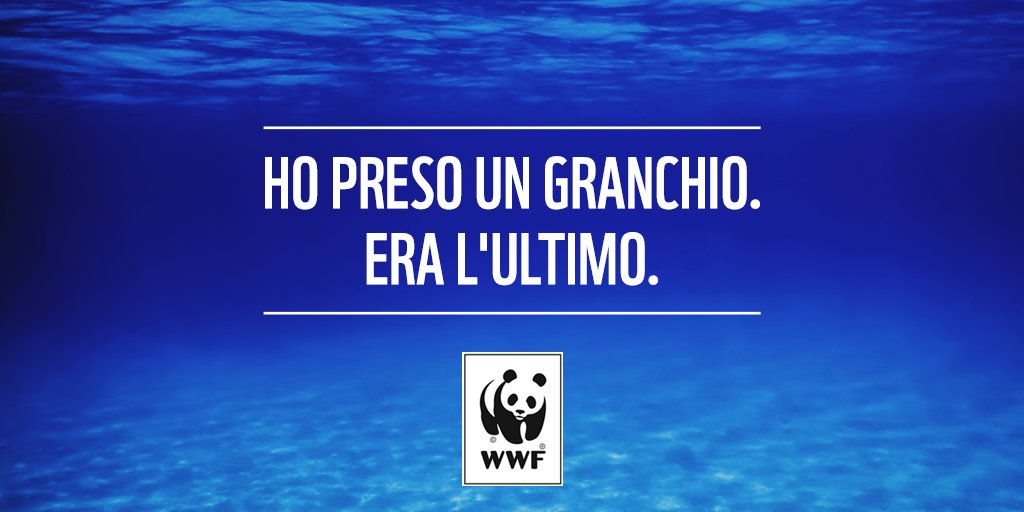 WWFitalia's tweet photo. Gli stock ittici di tutto il #mondo sono sovrasfruttati e tante #specie rischiano di scomparire.
Cambia le tue abitudini di consumo e scopri la Seafood Guide di WWF per un consumo di #pesce sostenibile ▶️https://t.co/YJAYZWUl9E https://t.co/klnYDs1NLk