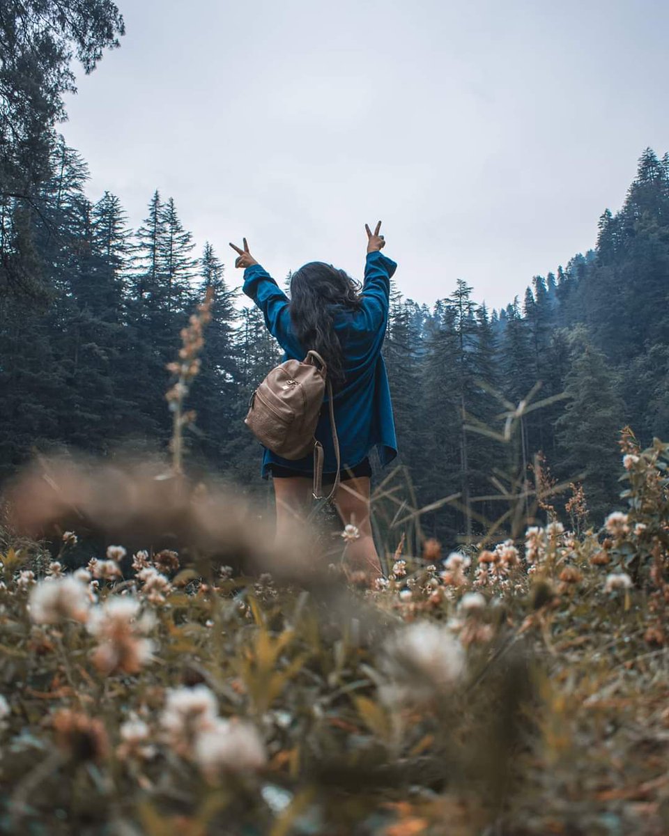 There is always an adventure waiting in the woods.

.
.
#prashar #himachal #prasharlake #himachali #himachalpradesh #travelphotography #travel #instahimachal #mandi #himachalgram #swagger #prasharlaketrek #instatravel #camping #wanderlust #meadowscamps #lake #adventurehimalayas