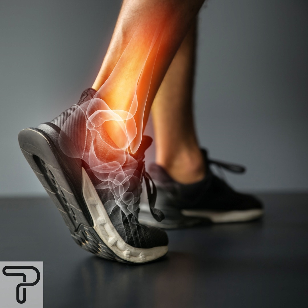 PTWiredEU's tweet photo. Physiotherapy helps to restore movement and function when someone is affected by injury, illness or disability.
Create cutsomised programmes and bespoke templates with the 4500+ exercise videos included!
https://t.co/NJ9eDz6enc
#ptwiredeurope #physio #ptwired #rehab #prehab https://t.co/v7flgbKka4