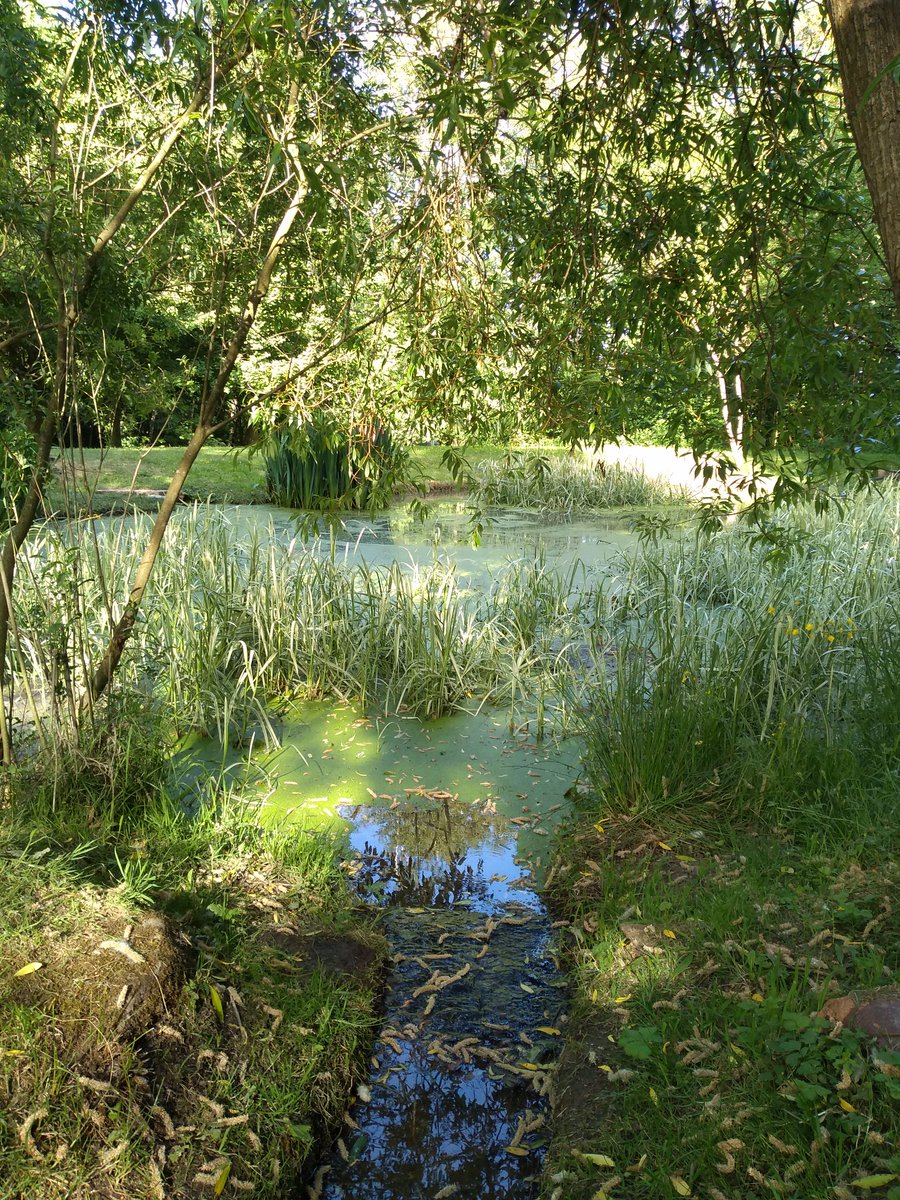 TreesforCities's tweet photo. We loved your entries in our weekly #TFCsnaps photo challenge! The photo prompt was *wildlife and trees* - have a look at the best pics here: https://t.co/Ix9AssesGX
Keep your eyes peeled for our next photo prompt, released every Tuesday! π https://t.co/fKGUMrou4e