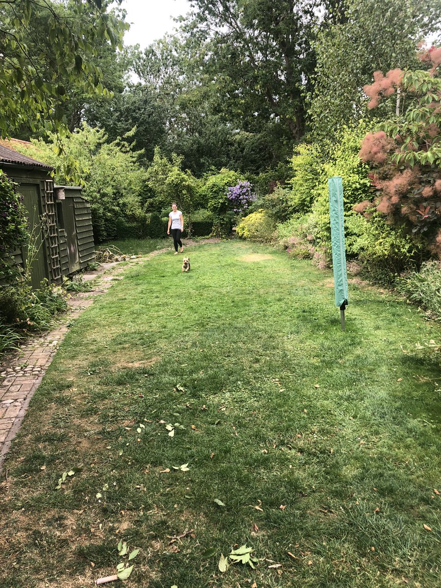 SarahWealleans's tweet photo. @KatieEGilhooly @irwinmitchell Getting some sneaky steps in between my CCMC and the next meeting of the day by doing a few laps of the garden. Dog joining again! #StepsAgainstStrep @irwinmitchell @GBSSupport https://t.co/gk8AyuvGm7