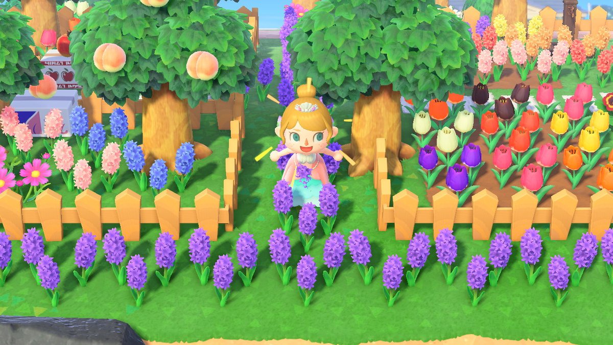 chibisparkle's tweet photo. 24hr Flower Giveaway!
Two winners will get TEN purple hyacinths!
Ends July 7th 12pm EST
Follow, like, rt to enter
#AnimalCrossing #ACNH https://t.co/O56VXLd1GY
