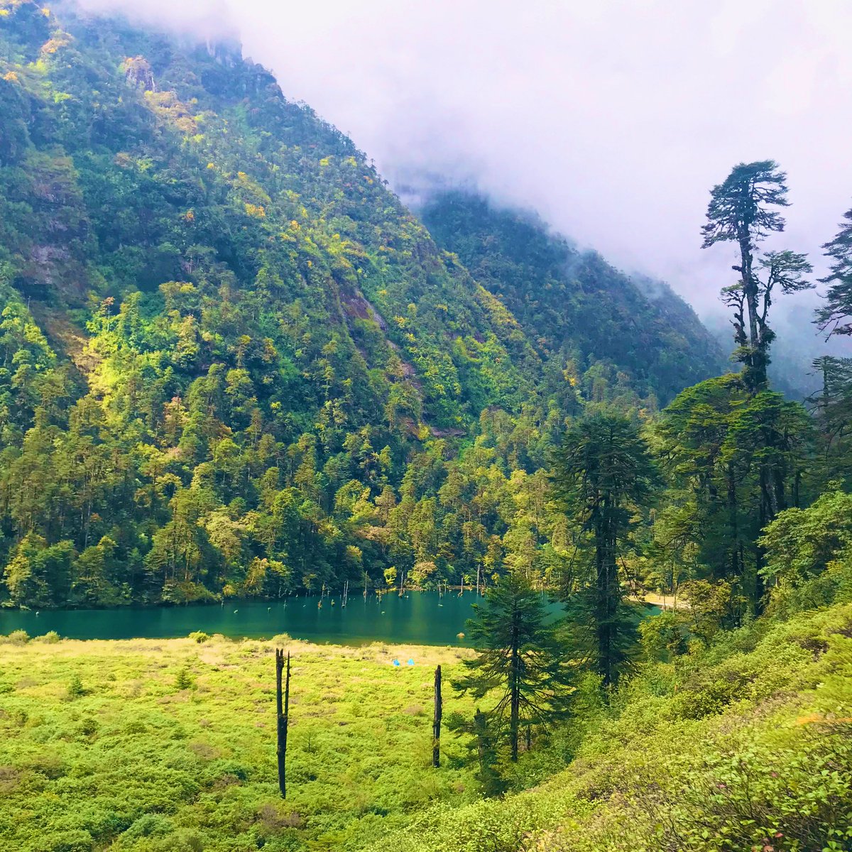 shalaran1's tweet photo. #Mechukha Trek to Passang Sonam Lake. #MechukhaLake #shiyomidistrict @ArunachalTsm @incredibleindia @neindiatraveler @tourismgoi @pasang_sona https://t.co/qVYZ3aTeIs