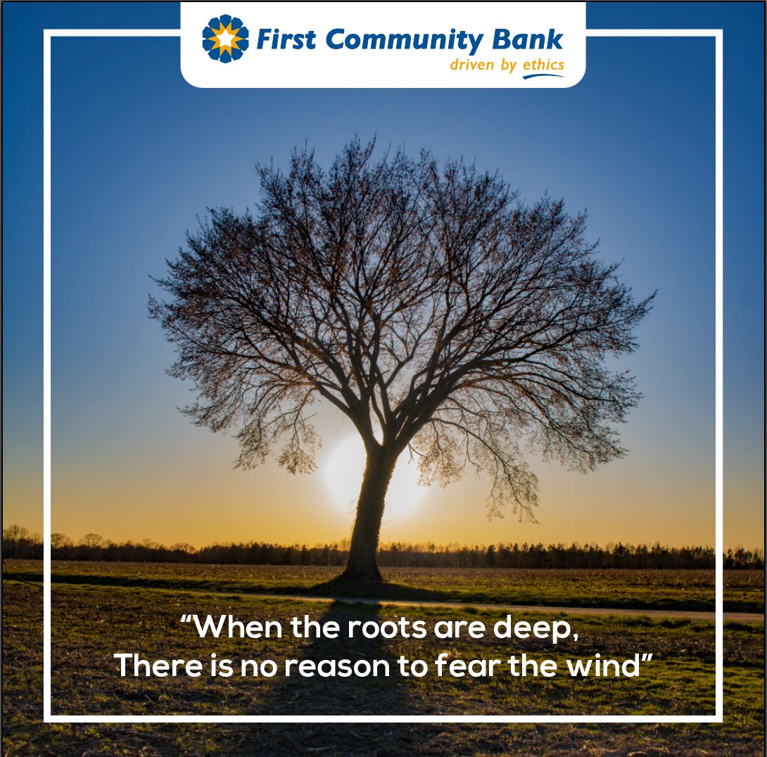 premierbank_ke's tweet photo. "Be like a tree, stay grounded connect with your roots..Turn over a new leaf..keep learning..keep growing and always strive to be better each day" #MondayMotivation #FCBcares https://t.co/X3gL9d3wqy