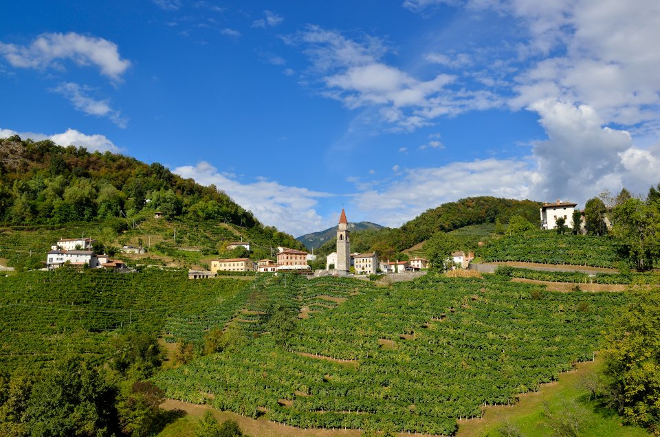 Oggi è una data importante per le #CollinedelProsecco di #ConeglianoValdobbiadene: esattamente un anno fa venivano dichiarate Patrimonio dell'Umanità #UNESCO #7luglio2019 🥳🍾bit.ly/3dRHx2D 

#VisitVeneto