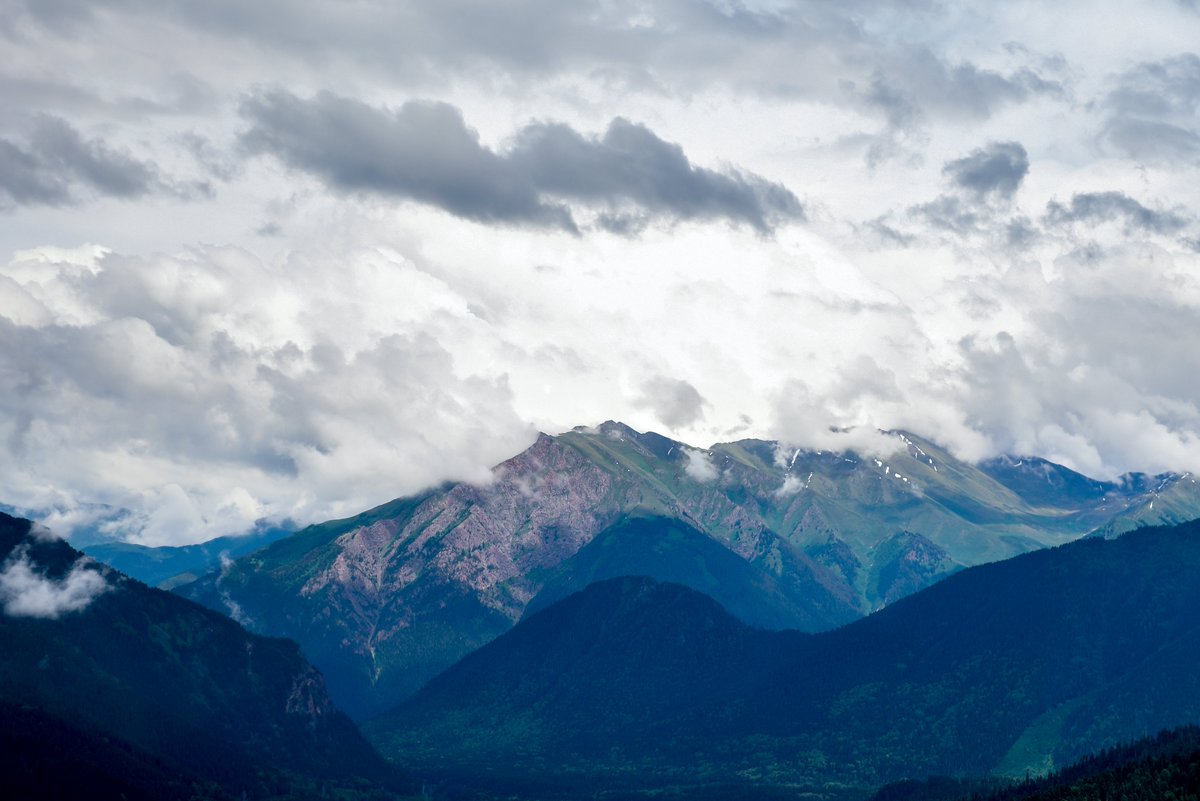 АО «КСК» tweet media