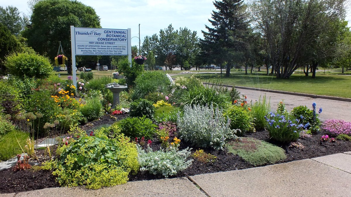 friendsTBcon's tweet photo. Stop by the #pollinators garden at #ThunderBay's Centennial Botanical Conservatory. Loved by bees, butterflies and people alike!🐝🦋🌺
#tbaylovin #gardentourism #CleanGreenBeautiful #tbay #GreenSpace #WellBeing #QualityOfLife https://t.co/hy5uHiTnit