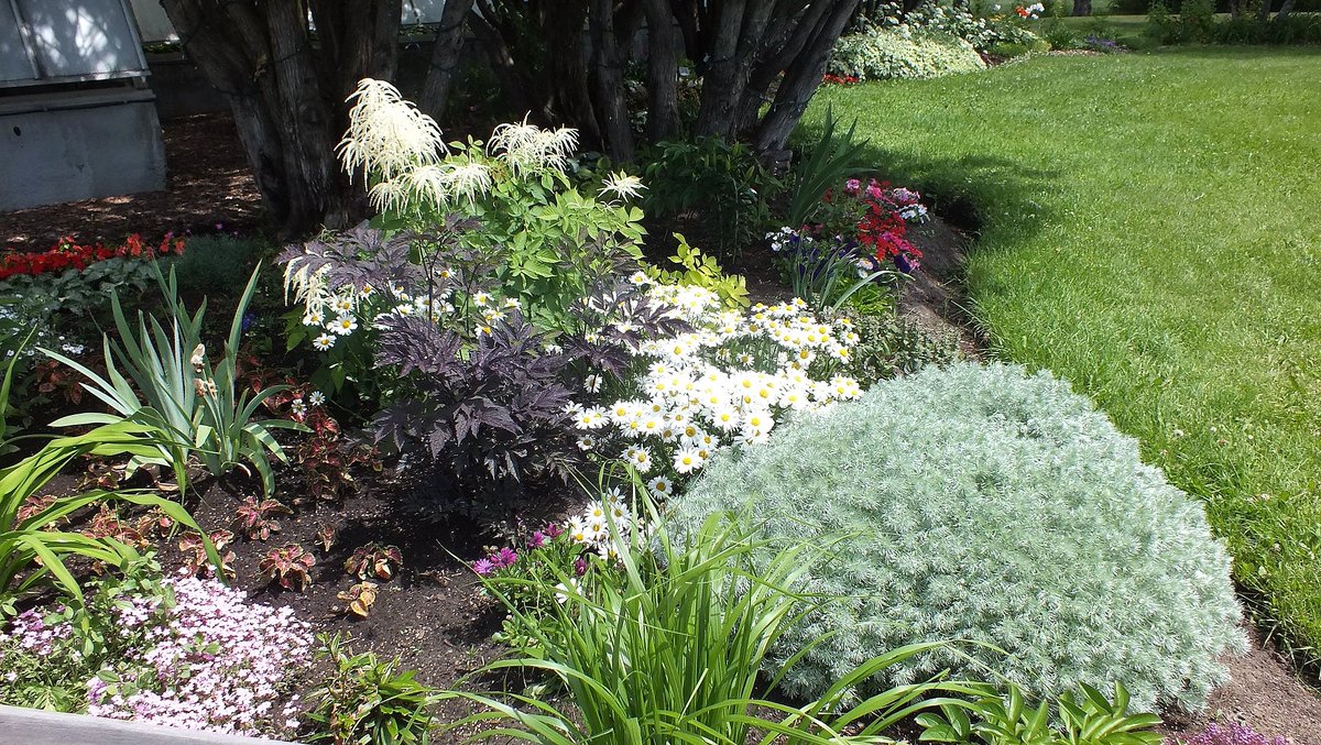 friendsTBcon's tweet photo. Stop by the #pollinators garden at #ThunderBay's Centennial Botanical Conservatory. Loved by bees, butterflies and people alike!🐝🦋🌺
#tbaylovin #gardentourism #CleanGreenBeautiful #tbay #GreenSpace #WellBeing #QualityOfLife https://t.co/hy5uHiTnit