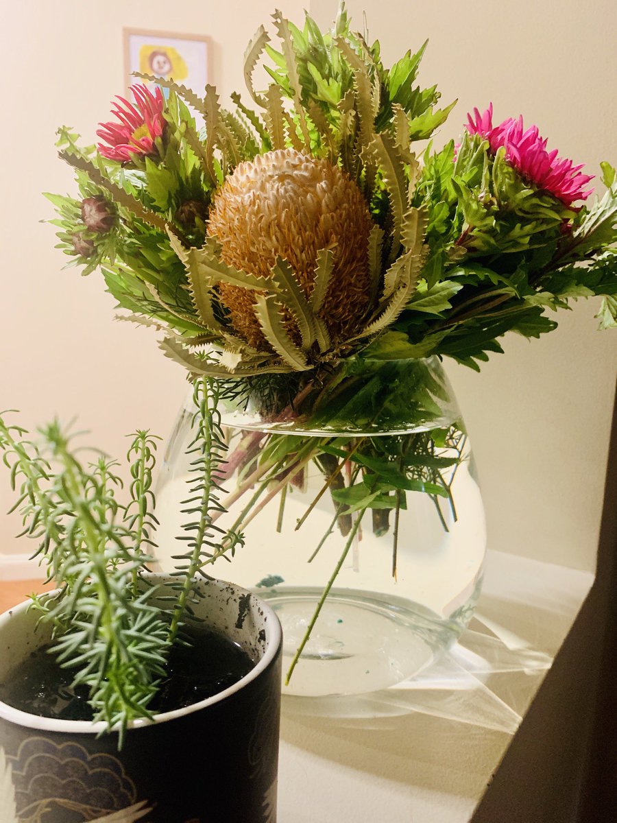 jennicampbell9's tweet photo. After a suicide death close to home, the @Wellwaysau Wagga team have been incredible. I can’t begin to explain the lengths the team went to- providing practical &amp; emotional aid. 5 months later, still in touch &amp; checking in. @MHCNSW @MurrumbidgeePHN @JenKRoberts @CatherineLourey https://t.co/JkWiOYMWor