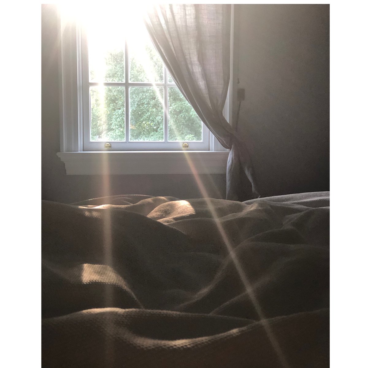 Angie_Harmon's tweet photo. I cannot express the gratitude to all of you... this update is definitely moving in a better/right direction. THANK YOU FOR YOUR PRAYERS... if I could hug each &amp; every one of you I would. Please continue to #prayforzahn  I love you all so much ❤️🙏🏼❤️🙏🏼 https://t.co/vgPVeVpheG