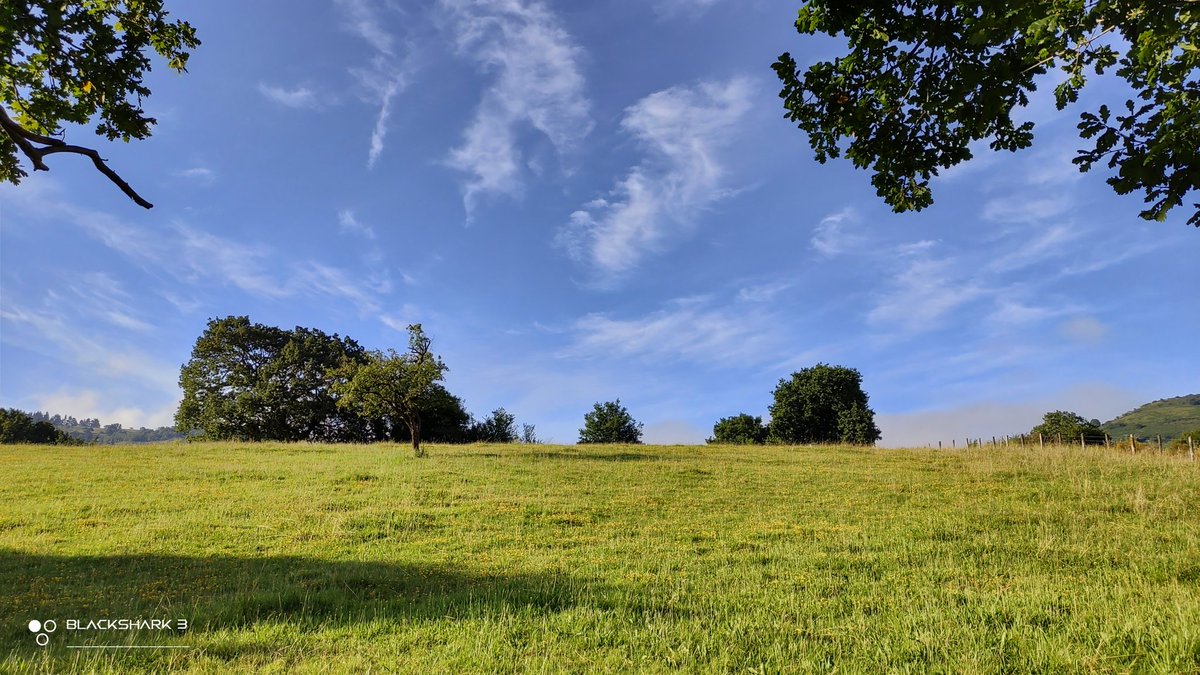 hellforo's tweet photo. #sunny #bluesky #almostclear #landscape #forest #meadows #mountain #walk #oak #roble #chestnut #castaño #maple #arce #holly #acebo #walnut #nogal #hazel #avellano #fern #bramble #mudpath #summer #nature #shot #nofilter #shotonmyblackshark3 https://t.co/qnKtVu0ZYR