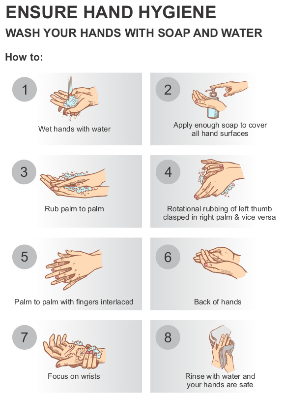 COVIDNewsByMIB's tweet photo. #IndiaFightsCorona:

📍Ensure hand👐 hygiene: Wash your hands with soap🧼 and water💧

How❓ 

Follow these steps 👇

#StaySafe #IndiaWillWin https://t.co/kUr7ujIzEM