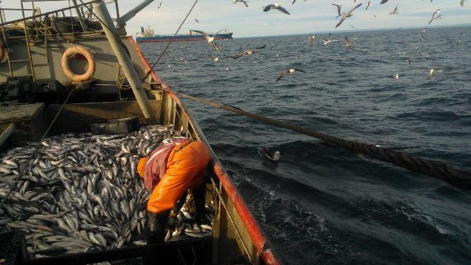 InfoMdpya's tweet photo. Marineros denuncian que quieren bajarle los salarios y arrancan un paro total en la pesca 
#Pesca #Denuncia 
#salarios #Paro 
#SOMU #Capip #Capeca 
https://t.co/qj83WiU5YF https://t.co/JoZEGrSdmh