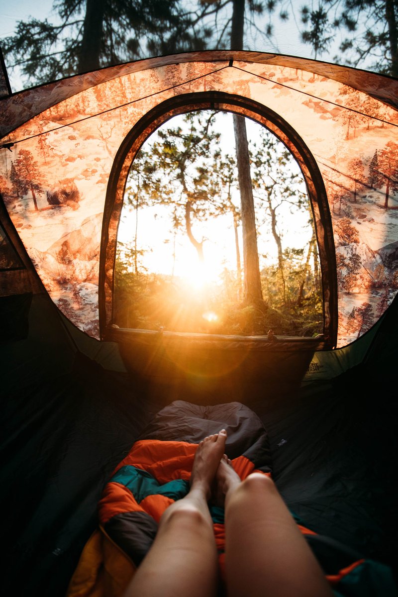 hellolaroux tweet media